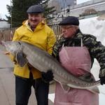 Заведующий лабораторией  воспроизводства рыб ТИНРО-Центра Евгений Рачек и директор Лучегорской НИС Дмитрий Амвросов