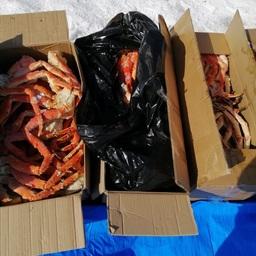 Изъятые правоохранителями конечности камчатского краба. Фото пресс-группы Погрануправления ФСБ России по Приморскому краю