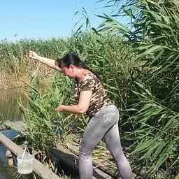Ученые проверили воду на содержание остаточных количеств действующих веществ пестицидов. Фото пресс-службы АзНИИРХ