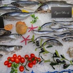 Российская рыбная продукция