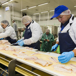 Одна из целей программы инвестквот – развитие выпуска продукции глубокой переработки. Фото пресс-службы правительства Мурманской области