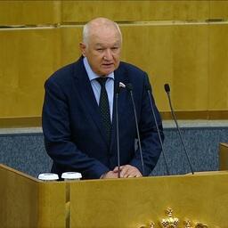 На заседании нижней палаты парламента выступил первый зампредседателя Комитета Госдумы по делам национальностей Ильдар ГИЛЬМУТДИНОВ. Скриншот видеотрансляции