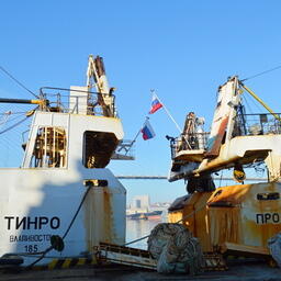 ТИНРО сформировал план экспедиций на 2025 год