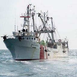 С японской шхуны Eihou maru 172 сняли арест. Фото пресс-службы Погрануправления ФСБ России по Сахалинской области