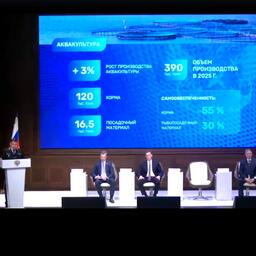 Проблемы и перспективы отечественной аквакультуры озвучили на коллегии Росрыболовства. Кадр видео федерального агентства