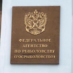 Росрыболовство считает аукционы «преждевременными»