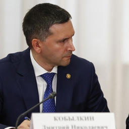 Министр природных ресурсов Дмитрий КОБЫЛКИН. Фото пресс-службы Правительства РФ