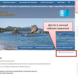 Заявиться на объемы вылова анадромных видов рыб можно по интернету. Фото с сайта агентства по рыболовству Сахалинской области