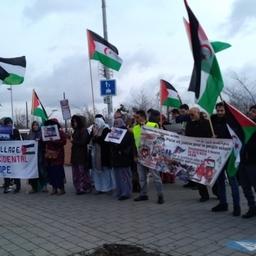 Сторонники независимости Западной Сахары устроили акцию протеста. Фото Sahara Press Service
