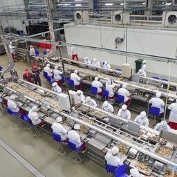 Производство рыбной продукции на заводе ГК «За Родину» в Калининградской области