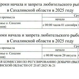 Сроки начала и запрета любительского лова кеты и кижуча в Сахалинской области