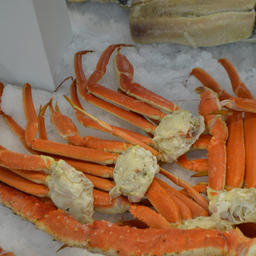 В столице Бельгии прошла Seafood Expo/Processing Global 2016 – крупнейшая выставка морепродуктов и оборудования для рыбопереработки