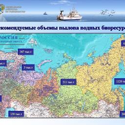 Доклад Андрея Крайнего на расширенном заседании Коллегии Росрыболовства