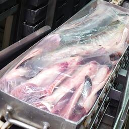 В деле фигурировал мороженый лосось