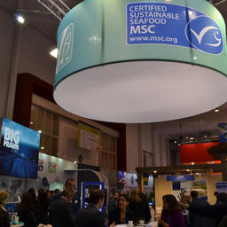 В столице Бельгии открылась Seafood Expo/Processing Global 2016 – крупнейшая выставка морепродуктов и оборудования для рыбопереработки
