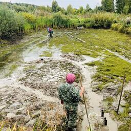 Ученые рассчитывают, что в дальнейшем водохранилище обеспечит высокие устойчивые уловы судака. Фото пресс-службы Московско-Окского теруправления Росрыболовства