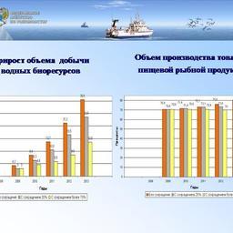 Доклад Андрея Крайнего на расширенном заседании Коллегии Росрыболовства
