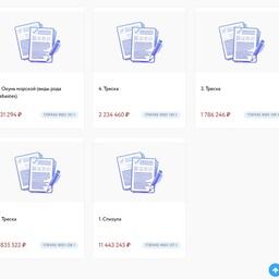На торги выставлялось пять лотов — долей квот вылова