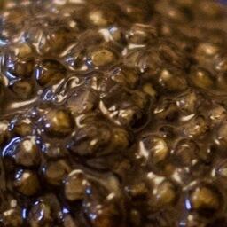 В Калининградской области впервые стали выпускать икру осетровых