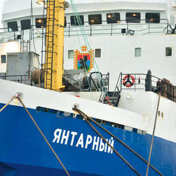 Развивать рыбную отрасль Карелии поможет специальный совет