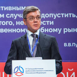 Президент ВАРПЭ Герман ЗВЕРЕВ