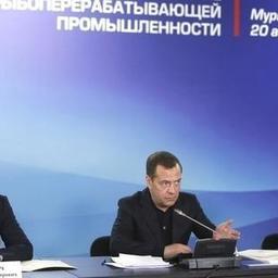 Вопросы рыбной отрасли обсудили на совещании у премьер-министра Дмитрия МЕДВЕДЕВА. Фото пресс-службы Правительства РФ