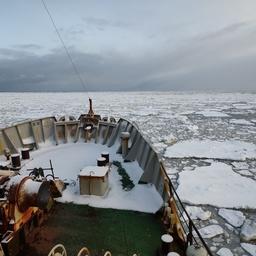 Сотрудники Полярного филиала ВНИРО (ПИНРО) совместно с Бергенским институтом морских исследований (БИМИ) провели тралово-акустическую съемку в Баренцевом море. Фото пресс-службы ПИНРО