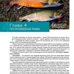 Книга содержит подробное описание биологии, ареала и особенностей спортивного лова дальневосточных лососей