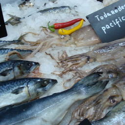 На протяжении трех дней рыба и морепродукты предлагались вниманию ведущих игроков рынка