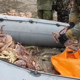 На побережье в районе села Лермонтовка трое местных жителей с использованием лодки и ловушек нелегально выловили 91 камчатского краба. Фото пресс-службы Погрануправления ФСБ России по Сахалинской области