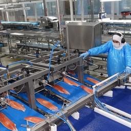 Marel - ведущий мировой поставщик услуг и передовых систем обработки для рыбной промышленности. Фото пресс-службы ESG