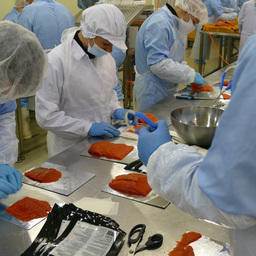 Около 90% продукции «Витязь-Авто» реализуется в Российской Федерации
