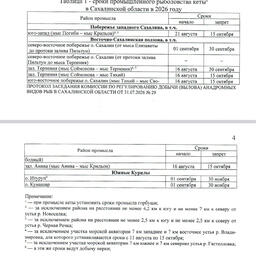 Сроки промышленного рыболовства кеты в Сахалинской области. Скриншот протокола