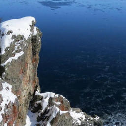 Ученые дали прогноз по запасам Татарского пролива. Фото пресс-службы ВНИРО