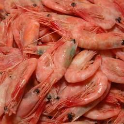 Дегустация продукции Ассоциации креветколовов Дальнего Востока. Владивосток, февраль, 2007
