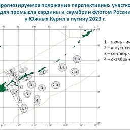 Прогнозируемое положение перспективных участков для промысла сардины и скумбрии флотом РФ у Южных Курил. Изображение предоставлено пресс-службой ТИНРО