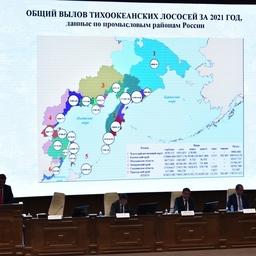 Результаты добычи лососей рассмотрел Дальневосточный научно-промысловый совет