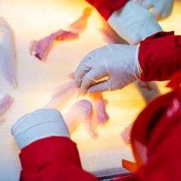 РРПК стала выпускать на судах больше продукции глубокой переработки. Фото пресс-службы компании