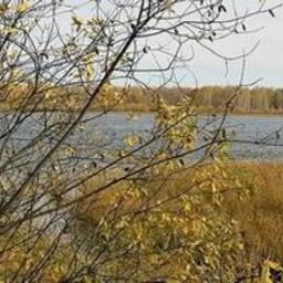 В Тюменской области за 2018 г. вырастили более 3 тыс. тонн рыбы. Фото пресс-службы регионального правительства
