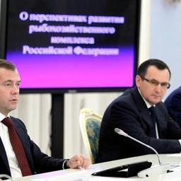 Председатель Правительства РФ Дмитрий МЕДВЕДЕВ, министр сельского хозяйства Николай ФЕДОРОВ, руководитель Росрыболовства Андрей КРАЙНИЙ. Фото пресс-службы Правительства РФ.