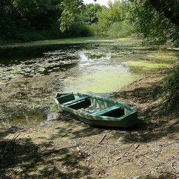 Река Терса, на которой расположены три участка. Фото Виктории Стрижовой («Википедия»)