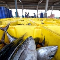 Как установили специалисты Калифорнийского университета в Санта-Барбаре компании богатых стран осваивают 78% уловов в акваториях менее состоятельных государств. Фото пресс-службы университета