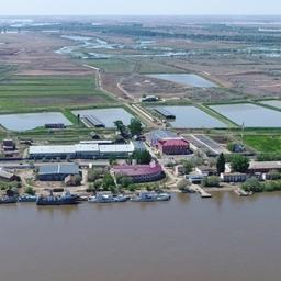 Научно-экспериментальный комплекс аквакультуры «БИОС». Фото пресс-службы КаспНИРХ