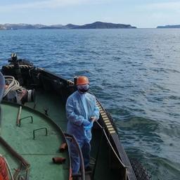 Минтранс подготовил рекомендации для безопасной работы морского и внутреннего водного транспорта в условиях пандемии. Фото пресс-службы министерства