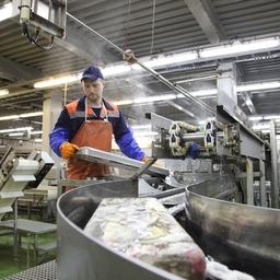 Береговая рыбопереработка на Курилах