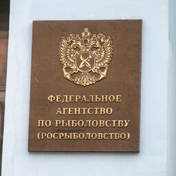 Росрыболовство проинформировало предприятия о возможностях промысла в юго-западной части Атлантического океана  (район ФАО 41)