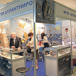Стенд ФГУП «АтлантНИРО» на выставке «Экспофиш 2011»