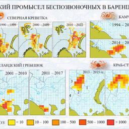 Российский промысел беспозвоночных в Баренцевом море