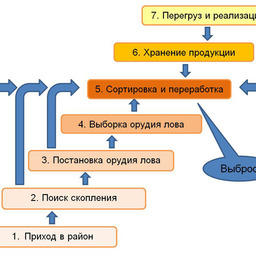 Рисунок 1. Схема промыслового цикла рыбодобывающего судна, оборудованного технологической линией по переработке улова
