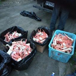 В фургоне находилось более 30 коробок с крабовой продукцией. Фото пресс-группы Пограничного управления ФСБ России по Приморскому краю